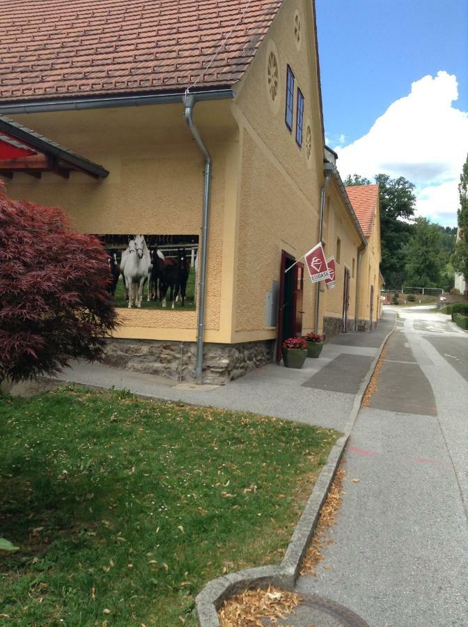 Weststeirische Ferienwohnung Piber Zewnętrze zdjęcie