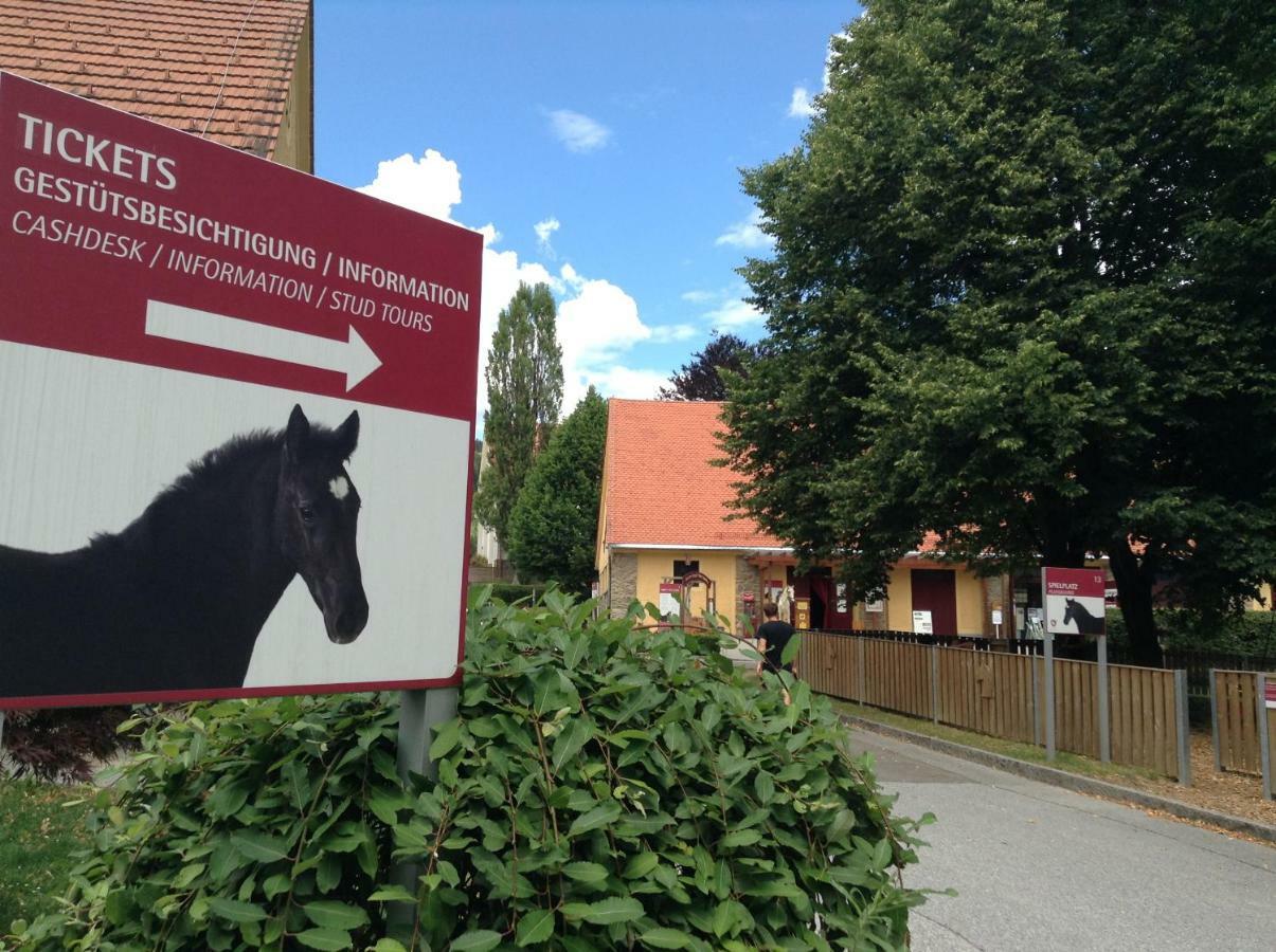 Weststeirische Ferienwohnung Piber Zewnętrze zdjęcie