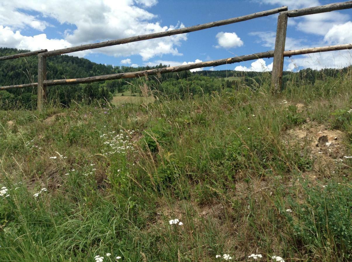 Weststeirische Ferienwohnung Piber Zewnętrze zdjęcie